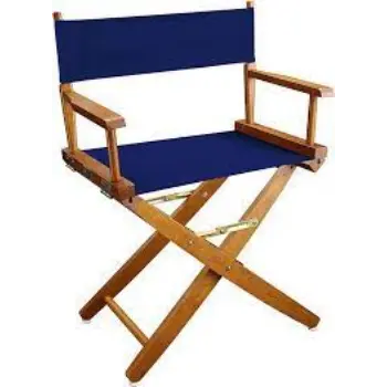 Modern Director Chair